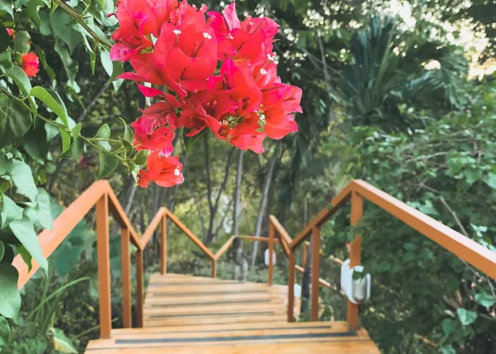 Los Altos De Eros Hotel Playa Avellana
