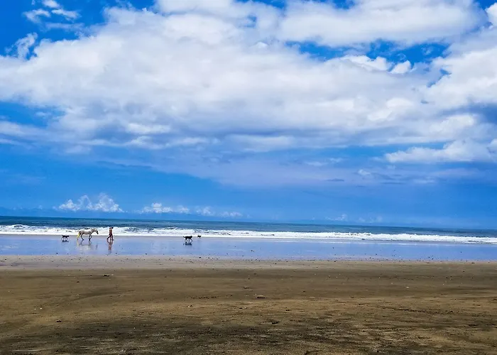 Los Altos De Eros 5*